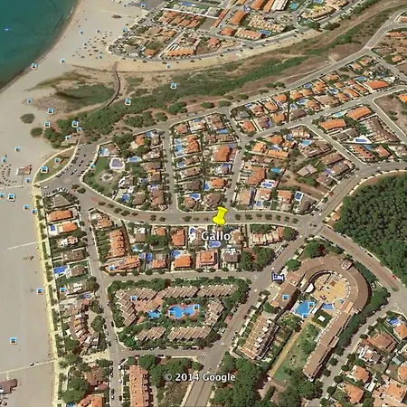 Arenda Pino Alto Gallo Miami Playa