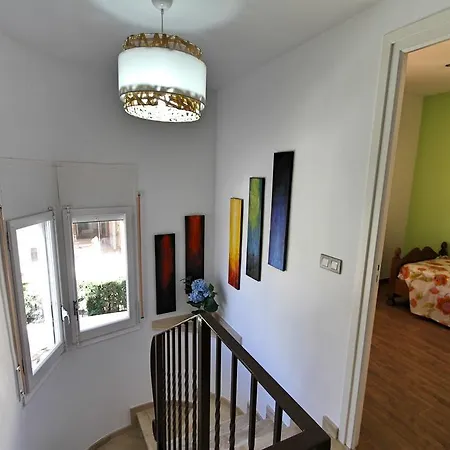 Arenda Pino Alto Gallo *